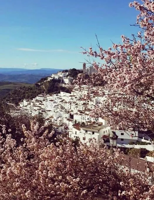 2 Bed La Duquesa With Stunning Sea And Pool Views Apartment Manilva Spain